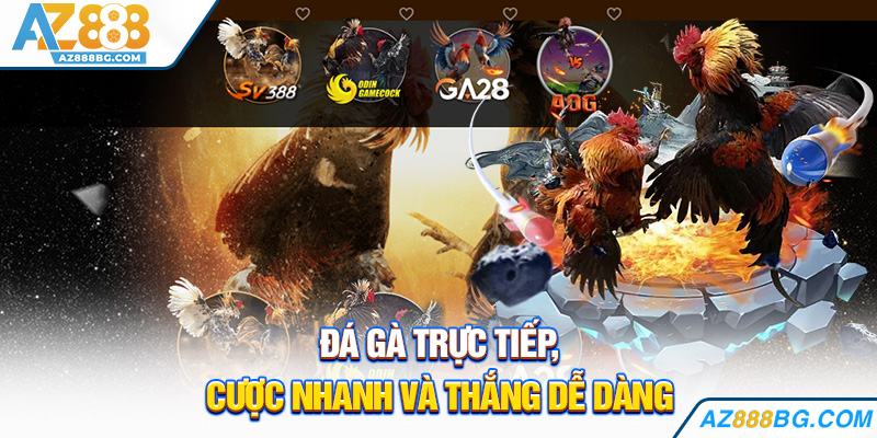 Đá gà trực tiếp, cược nhanh và thắng dễ dàng